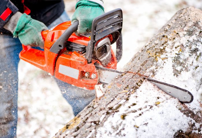 Adult worker cutting trees with chainsaw and tools
